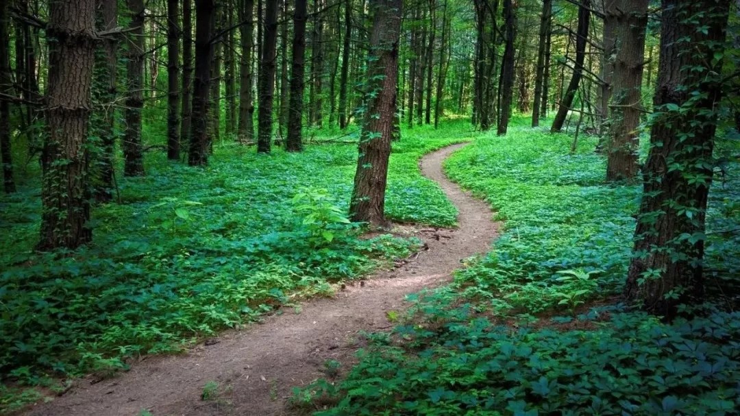 “五年规划”的历史经验与“十四五”规划的指导思想研究（二）